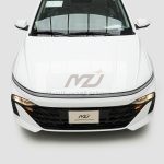 هيونداي - اكسنت فليت - 1500 سي سي - صورة 81